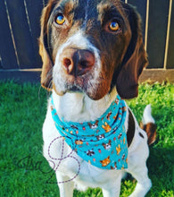 Load image into Gallery viewer, Pet (Dog/Cat) Bandana