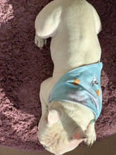 Load image into Gallery viewer, Pet (Dog/Cat) Bandana