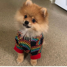 Load image into Gallery viewer, Pet (Dog/Cat) hoodie