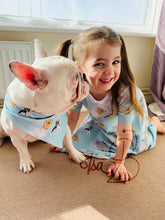 Load image into Gallery viewer, Pet (Dog/Cat) Bandana