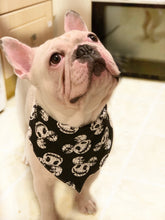 Load image into Gallery viewer, Pet (Dog/Cat) Bandana