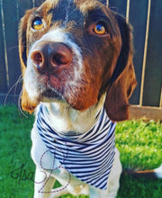 Load image into Gallery viewer, Pet (Dog/Cat) Bandana